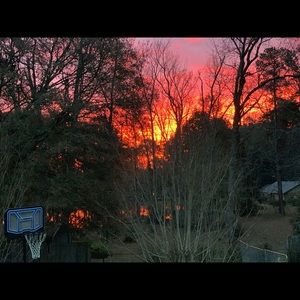 Meet your Posher, Lacy